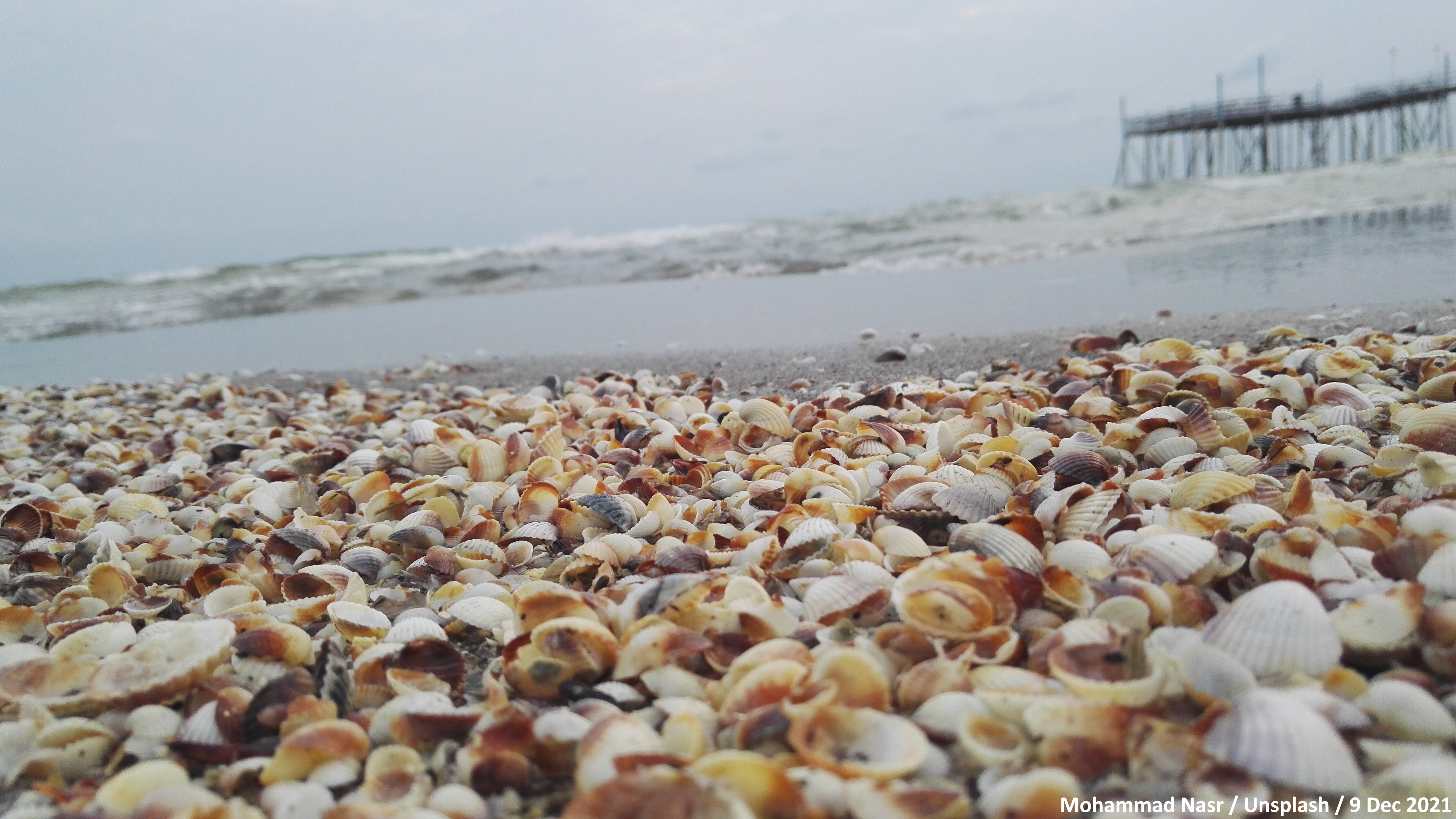 в астрахани есть море